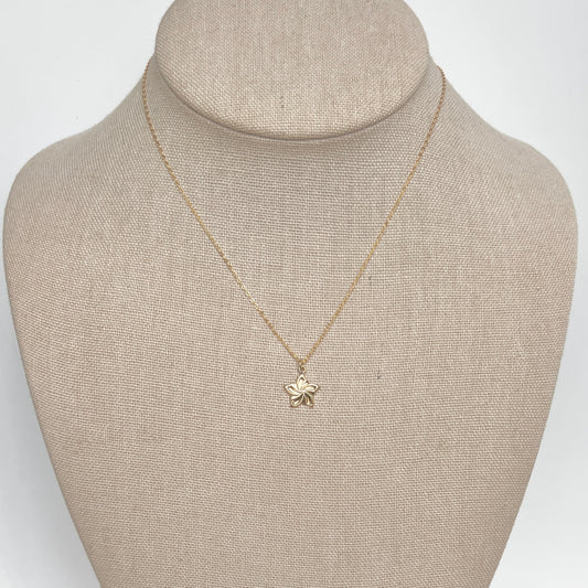 The Virtue Collection- Humility